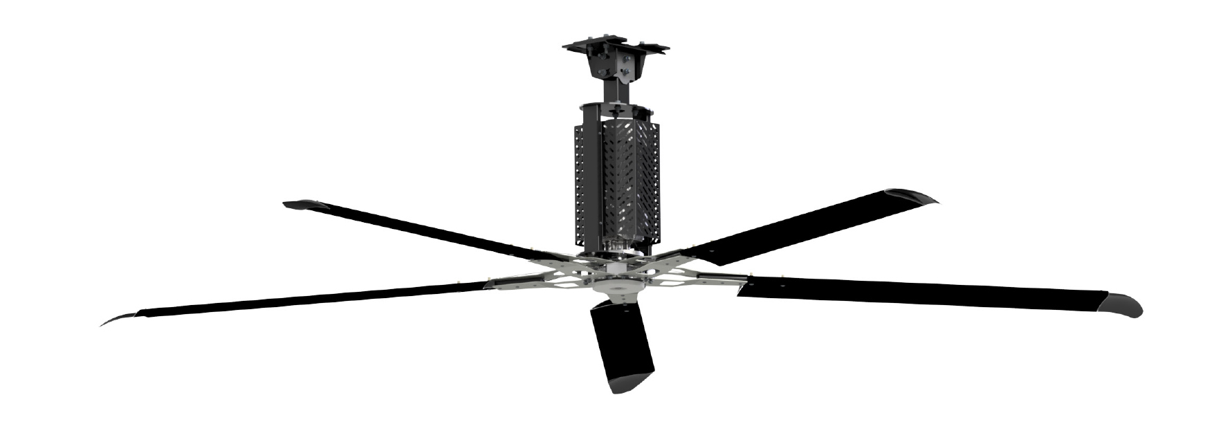 Epic Colossus Fan Picture